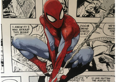 Studio 10 Mural Spiderman Comic