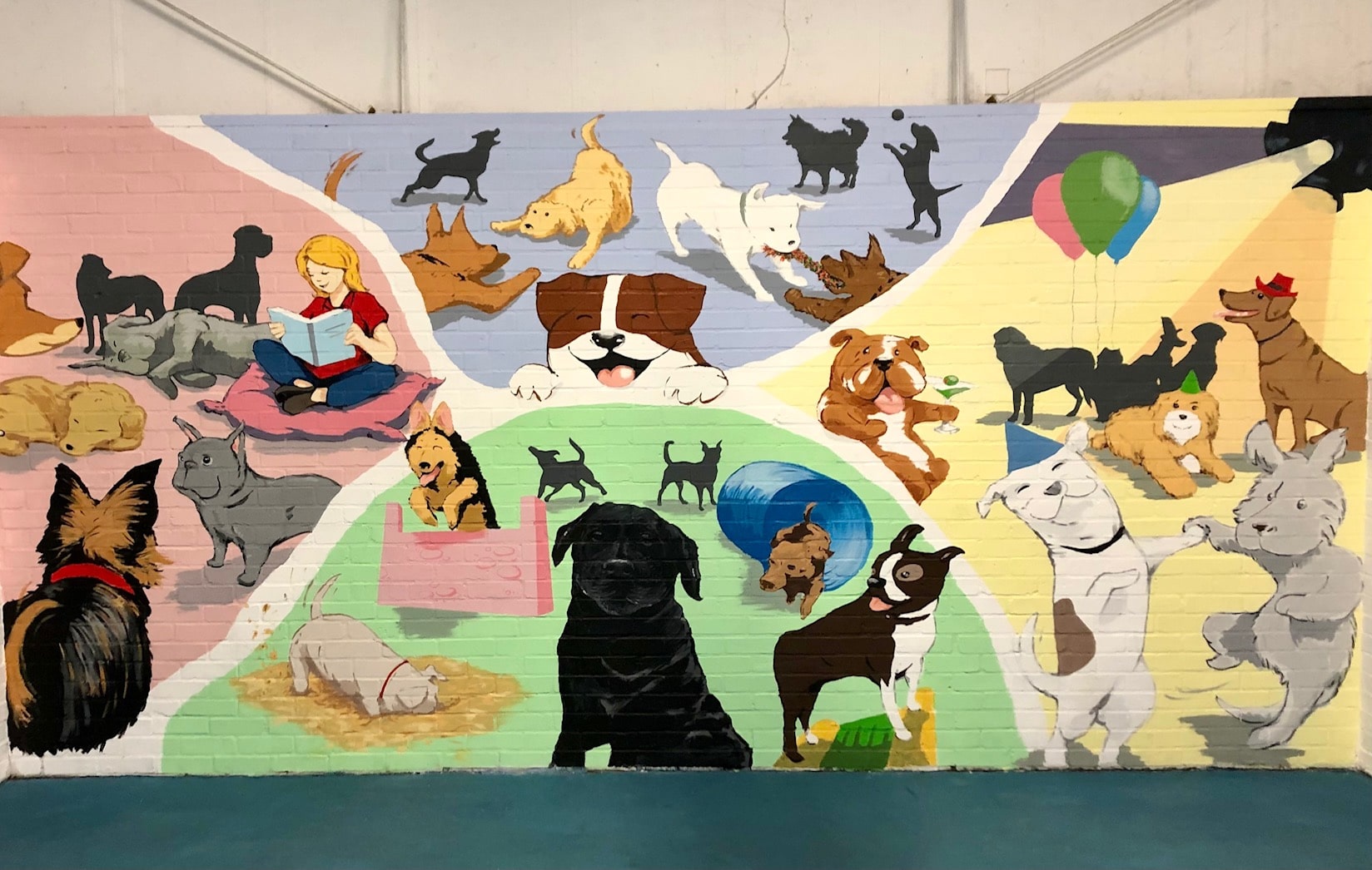 Dog mural at local canine creche by local mural artist